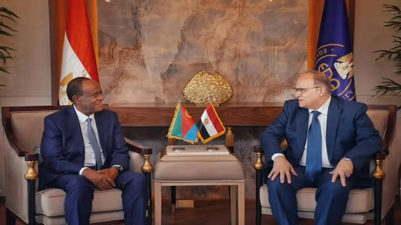 مباحثات مصرية إريترية مكثفة لتعزيز التكامل في قطاع الدواء والرقابة الصحية